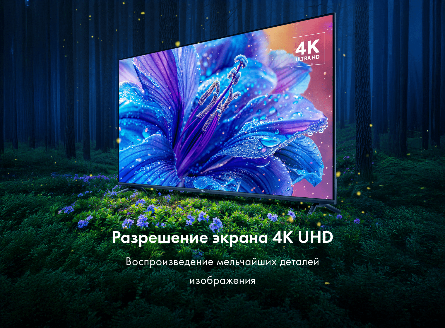 Телевизор Haier 43 LED S2 фото #4
