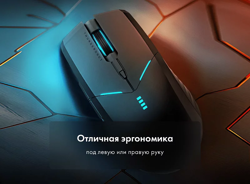 Игровая беспроводная мышь Thunderobot ML702 SE Black фото #10 Игровая беспроводная мышь Thunderobot ML702 SE Black фото #10