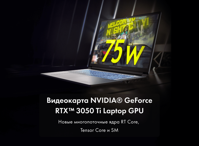 Игровой ноутбук Thunderobot 911 Plus X фото #15