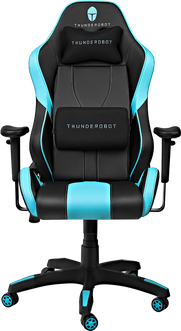 Игровое кресло Thunderobot E201 Interceptor Игровое кресло Thunderobot E201 Interceptor